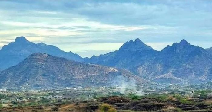 الوازعية.. أبناء قبيلة العلقمة يطالبون بسرعة تسليم المتورطين في جريمة التقطع لفريق منظمة "إدرا"