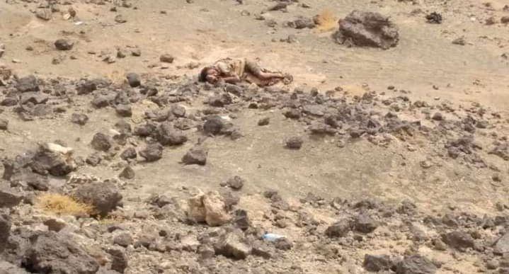 القوات الحكومية تتمكن من إفشال أعنف الهجمات الحوثية في صرواح وتستعيد السيطرة على عدة مناطق جنوب مأرب